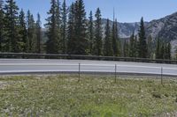 Daytime Profile: Armco Barrier and Forest