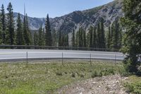 Daytime Profile: Armco Barrier and Forest