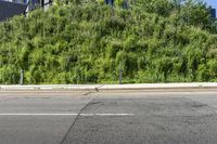 a couple of stoplights sitting on the side of a road next to a forest