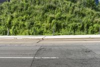 a couple of stoplights sitting on the side of a road next to a forest