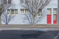 Daytime Residential Street: Beautiful Tree-lined Road