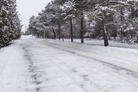 Daytime Road Amidst Winter Landscape