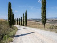 a dirt road with trees and brush on both sides, and on the other side of it are multiple directions