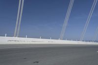 Daytime Road: Capturing the Motion Blur on Asphalt