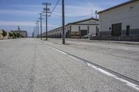 Daytime Road Tree Line with Infrastructure Factory