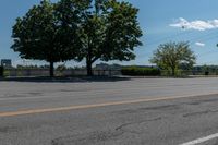 Daytime on a Suburban Road: Tree Branch Casting a Shadow