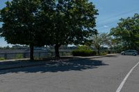 Daytime on a Suburban Road: Tree Branch Casting a Shadow