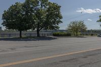 Daytime on a Suburban Road: Tree Branch Casting a Shadow