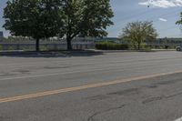 Daytime on a Suburban Road: Tree Branch Casting a Shadow