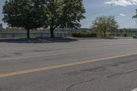 Daytime on a Suburban Road: Tree Branch Casting a Shadow