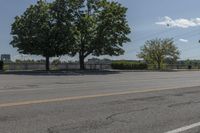 Daytime on a Suburban Road: Tree Branch Casting a Shadow