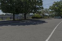 Daytime on a Suburban Road: Tree Branch Casting a Shadow