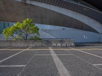 Daytime in Tokyo: City Profile and Stadium