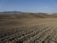 the plowed field has been empty and ready to be cultivated for cultivation in the early afternoon