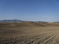 the plowed field has been empty and ready to be cultivated for cultivation in the early afternoon