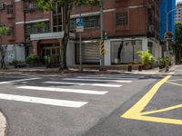 two yellow lines on the street in front of a tall building with large windows and a tree