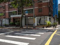 two yellow lines on the street in front of a tall building with large windows and a tree