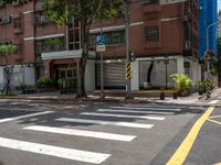 two yellow lines on the street in front of a tall building with large windows and a tree