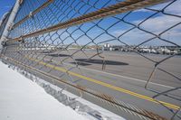 Daytona Beach: Tree-Lined Slopes Along the Highway