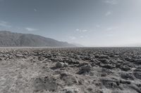 a dog walking through a dry desert plain of rocks and sand with a mountain in the distance