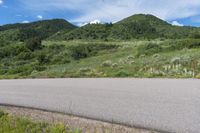 a dirt road with grassy weeds, a grass covered hillside, and some trees in the background