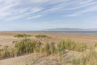 sand dunes and grass next to the ocean with the view on a sunny day, with hills in the distance