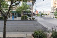 two flower potted trees sitting on the curb next to the street entrance of an office building