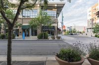 two flower potted trees sitting on the curb next to the street entrance of an office building