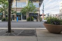 two flower potted trees sitting on the curb next to the street entrance of an office building