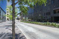 a street that is very wide, has bushes growing along the road and several tall buildings in the background