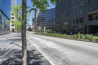 a street that is very wide, has bushes growing along the road and several tall buildings in the background