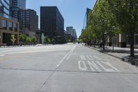 the city road is empty of people and no vehicles to be seen on it, but no cars can be seen on it