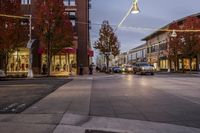 Denver, Colorado: City Street with Trees