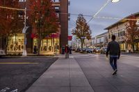 Denver, Colorado: City Street with Trees