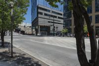 the tree on the street is empty and in front of a building with high rise windows