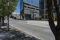 the tree on the street is empty and in front of a building with high rise windows