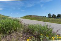 Denver, Colorado Landscape on a Sunny Day