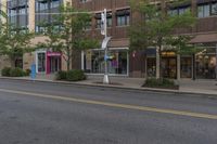 a paved city street is lined with buildings and trees along with green plants and bushes