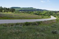 Denver, Colorado: Road of Asphalt on a Sunny Day