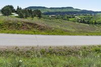 Denver, Colorado Road: Asphalt Through a Beautiful Landscape