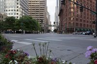 some flowers are sitting in the middle of an empty city street by some tall buildings
