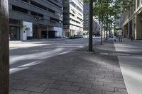 a sidewalk with trees on each side of it that is shaded by buildings on the right