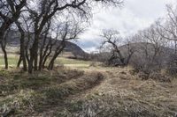 Denver Gravel Track: Low Hills and Beautiful Landscape