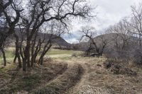 Denver Gravel Track: Low Hills and Beautiful Landscape