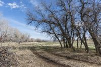 Denver Off-Road Track in Nature Forest