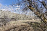 Denver Rural Field: Low Clouds and Grass