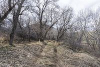 Denver Rural Landscape with Low Clouds