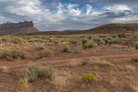 an empty dirt road winds around a large rock formation surrounded by brown grass and bushes