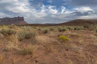 an empty dirt road winds around a large rock formation surrounded by brown grass and bushes