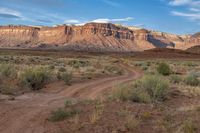 a dirt road on an arid desert with tall cliffs in the background on a sunny day